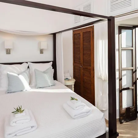 فيلة Spartilas *