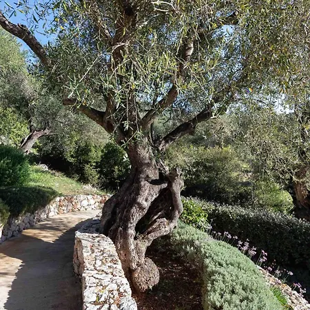 Spartilas فيلة Pyrgi (Corfu)