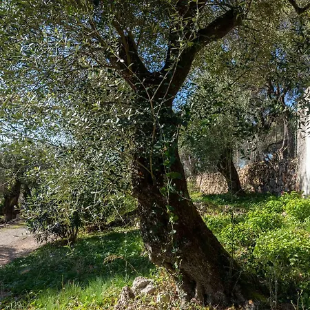 Villa Spartilas